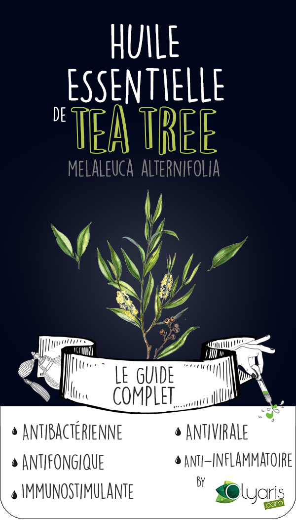 Huile Essentielle de Tea Tree contre l'Acné - Olyaris